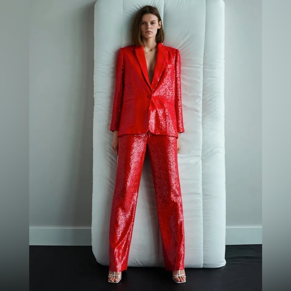 NWT ZARA Sequin Trousers size XS - Picture 3 of 12